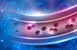 Artery Health Home Test Kit UK Artery Health Home Test Kit UK